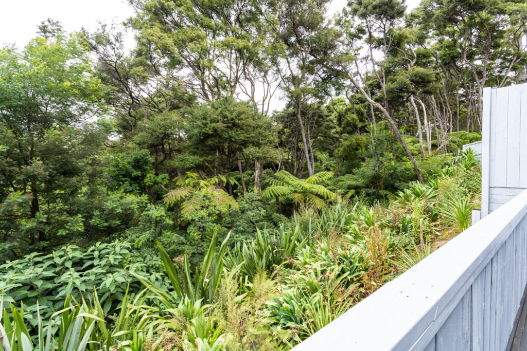 13 Liban Place, Massey-103