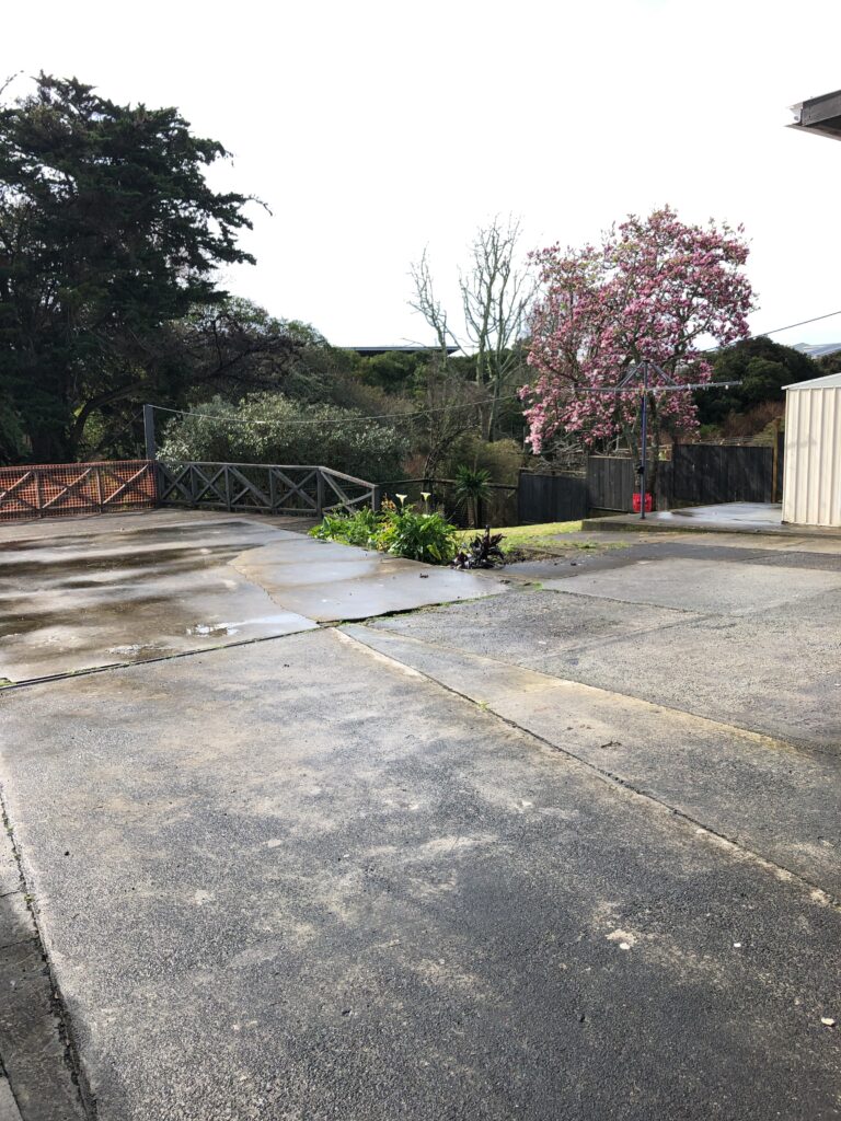General photo(20)