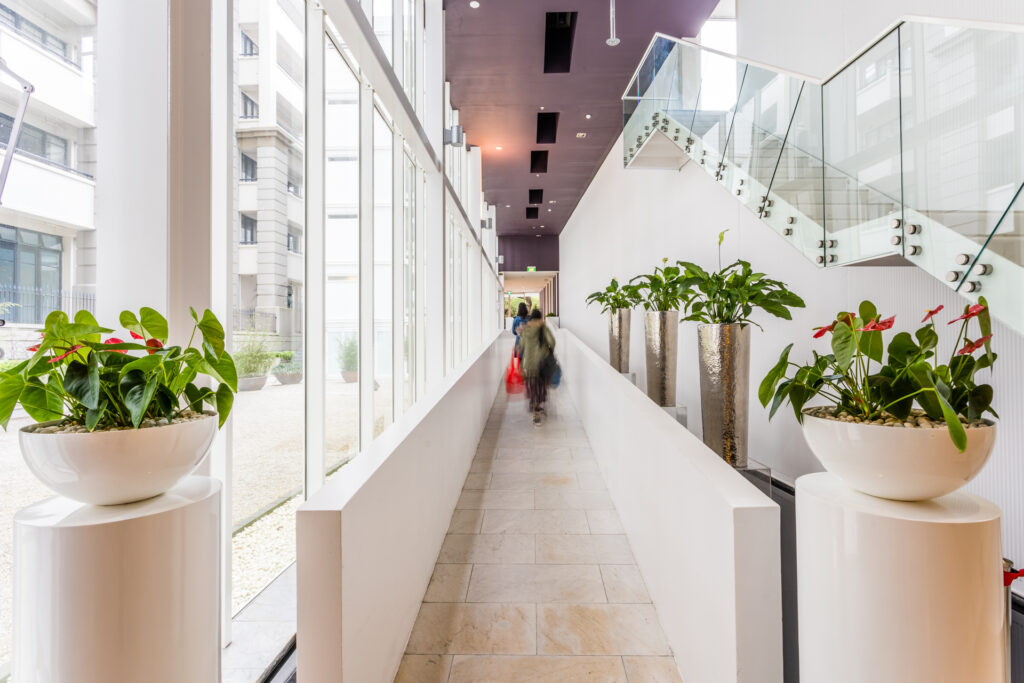 Architecture property realestate photography